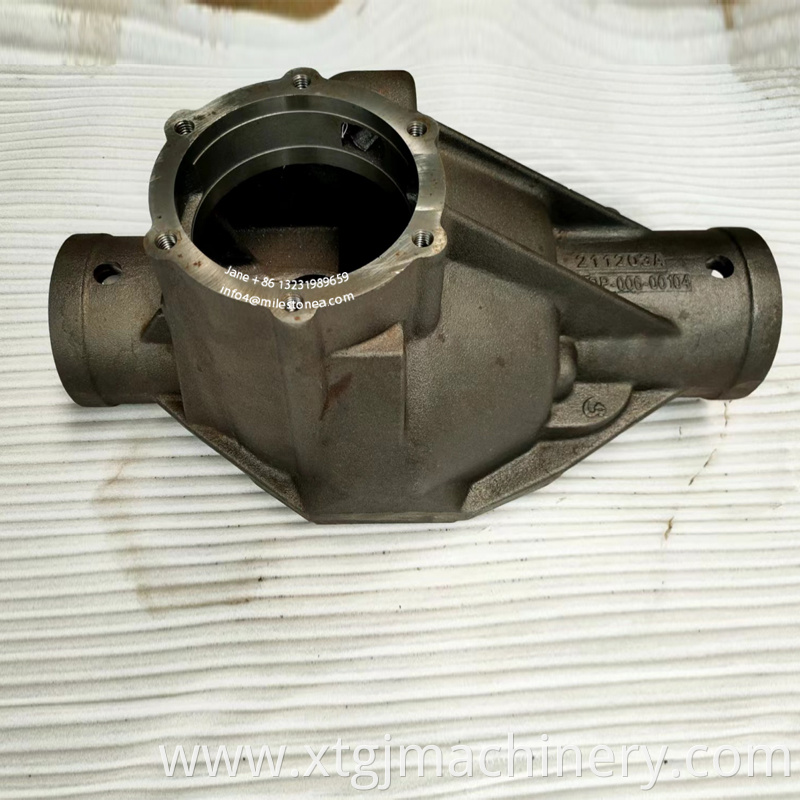 Chinese casting manufacturer American pickup truck iron axle parts rear housing 211203A in middle section